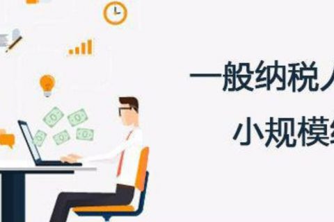 拉薩的一般納稅人和小規(guī)模納稅人納稅方式以及認(rèn)定資格是什么？同內(nèi)地企業(yè)有區(qū)別嗎？