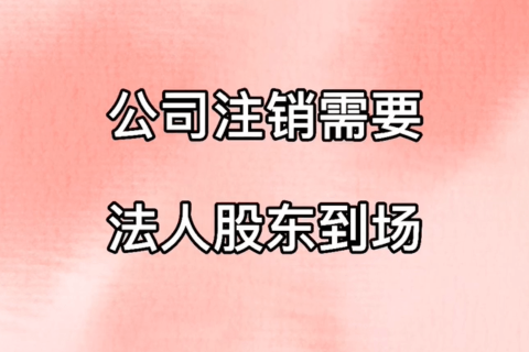 拉薩公司注銷，需要法人、股東到場嗎？