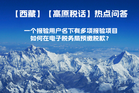 一個報驗用戶名下有多項報驗項目，如何在電子稅務局預繳稅款？