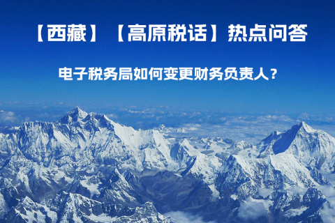 電子稅務(wù)局如何變更財務(wù)負(fù)責(zé)人？