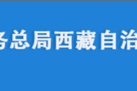 電腦更換后，自然人電子稅務局扣繳端申報收入額如何進行累計？