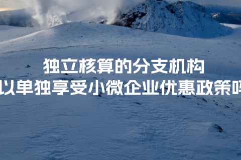 獨(dú)立核算的分支機(jī)構(gòu)可以單獨(dú)享受小微企業(yè)優(yōu)惠政策嗎？