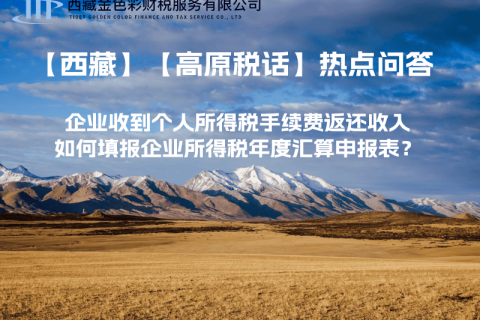 企業(yè)收到個人所得稅手續(xù)費(fèi)返還收入，如何填報企業(yè)所得稅年度匯算申報表？