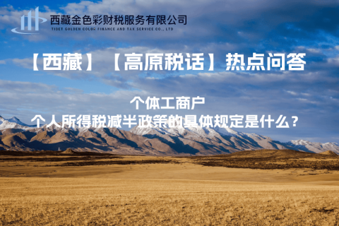 個(gè)體工商戶個(gè)人所得稅減半政策的具體規(guī)定是什么？
